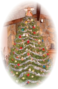 Leyland Cypress Christmas tree